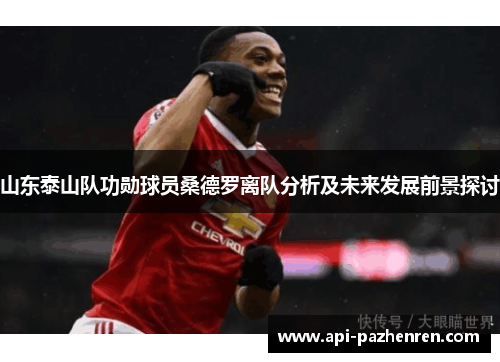山东泰山队功勋球员桑德罗离队分析及未来发展前景探讨
