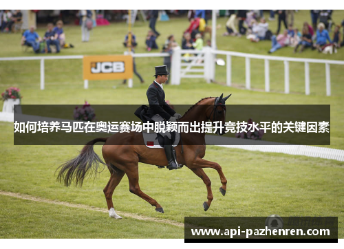 如何培养马匹在奥运赛场中脱颖而出提升竞技水平的关键因素