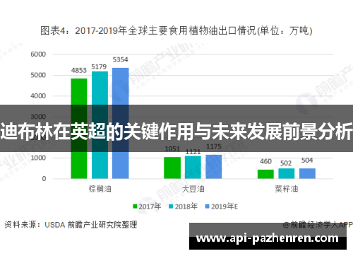 迪布林在英超的关键作用与未来发展前景分析