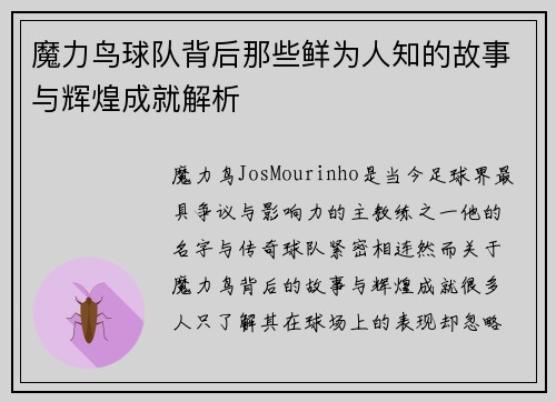 魔力鸟球队背后那些鲜为人知的故事与辉煌成就解析