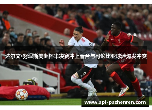 达尔文·努涅斯美洲杯半决赛冲上看台与哥伦比亚球迷爆发冲突